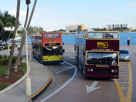 Hop-on Hop-off Bus in Miami Florida